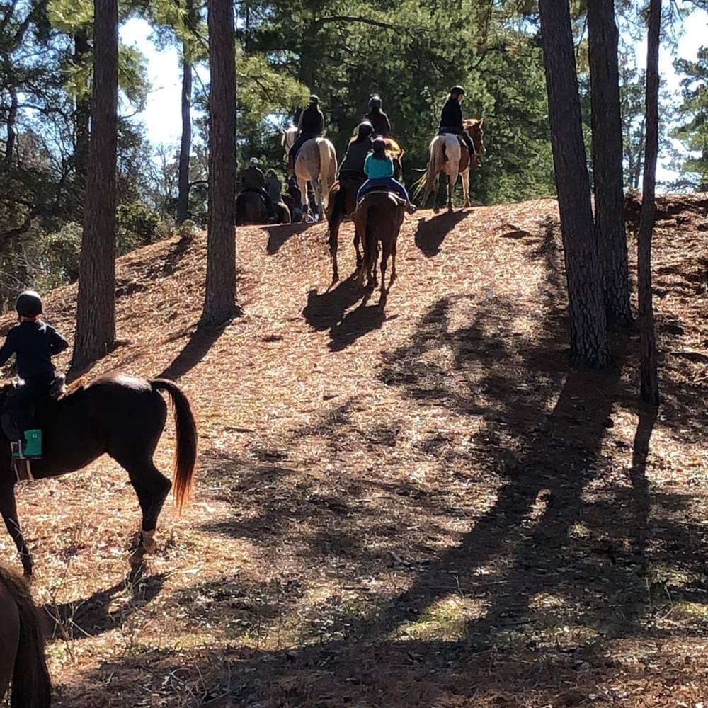 Meet your Posher, Michelle